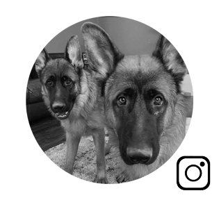 German Shepherd Lifestyle & Training