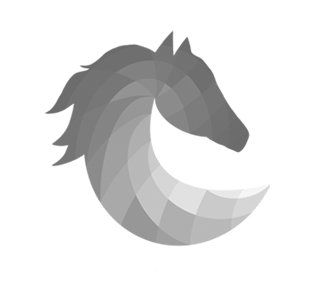 Pony Ex Same Day Delivery