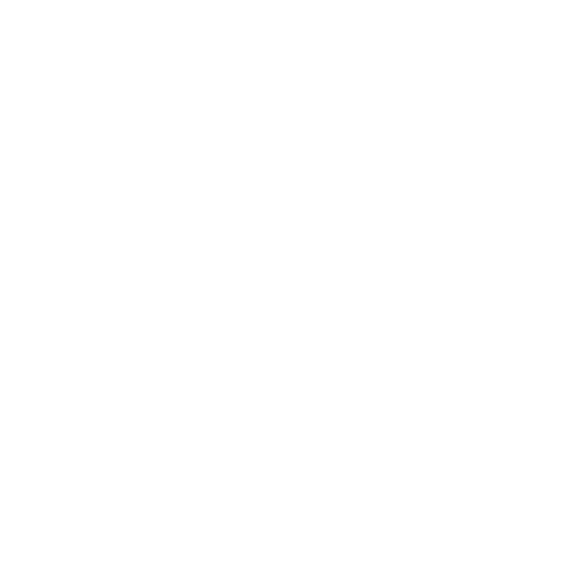 Web App development