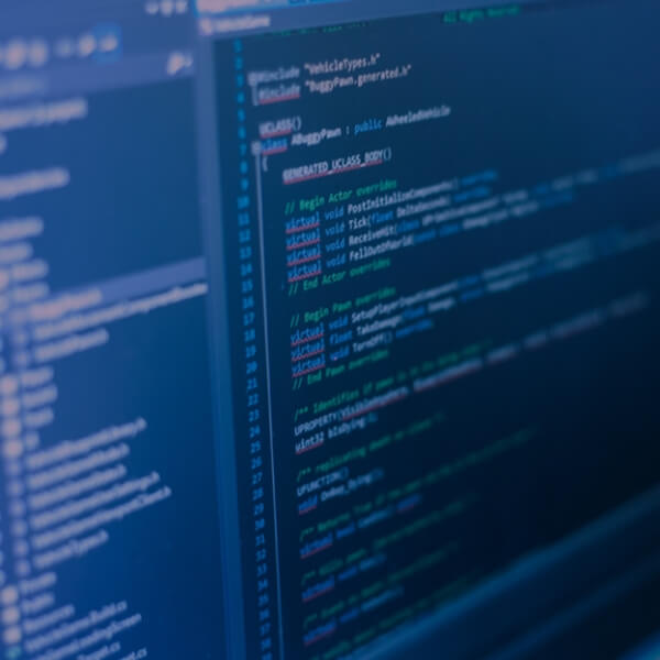 Software Developers