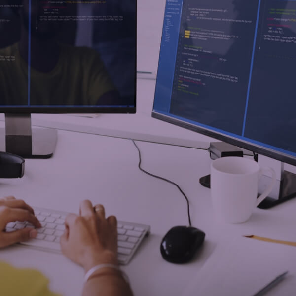 Web Design Agency