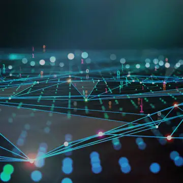 Database Administrators